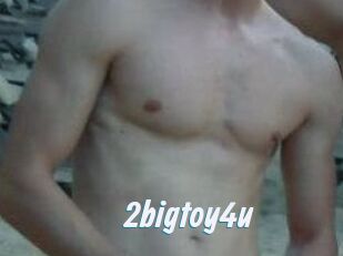 2bigtoy4u