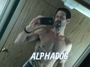 ALPHADOG