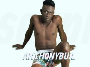 ANTHONYBUIL