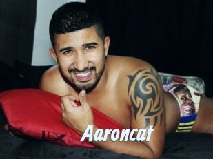 Aaroncat