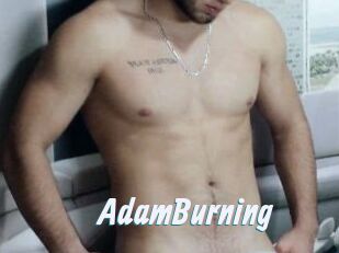 AdamBurning