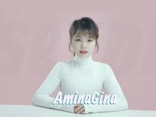 AminaGina