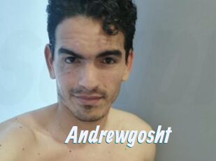 Andrewgosht