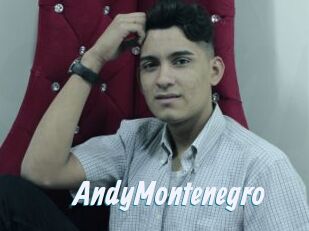 AndyMontenegro