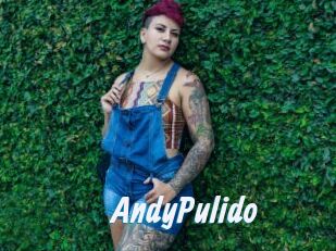 AndyPulido