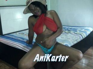 AniKarter