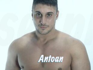 Antoan