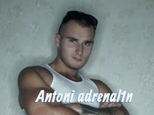 Antoni_adrenal1n