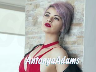 AntonyaAdams