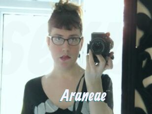 Araneae
