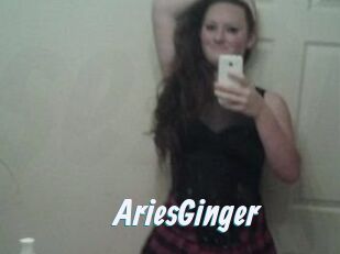 AriesGinger