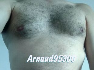 Arnaud95300