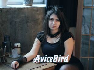 AviceBird