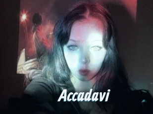 Accadavi