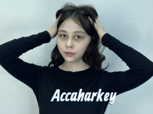 Accaharkey