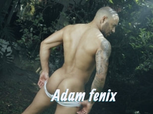 Adam_fenix