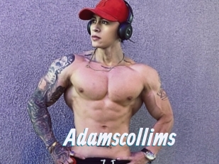 Adamscollims