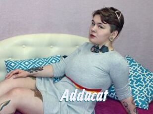 Addacat
