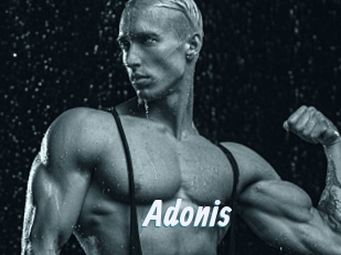 Adonis