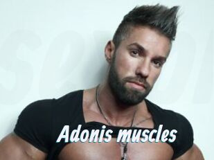 Adonis_muscles