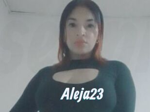 Aleja23