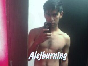 Alejburning