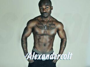 Alexandercolt