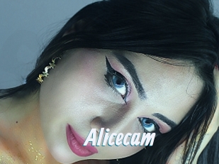 Alicecam