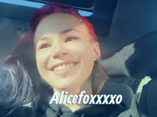 Alicefoxxxxo