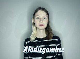Alodiegambee