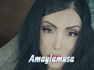 Amaylamusa