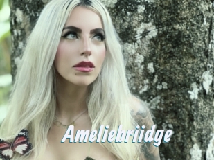 Ameliebriidge