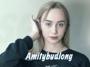Amitybudlong
