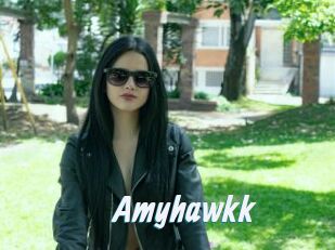 Amyhawkk