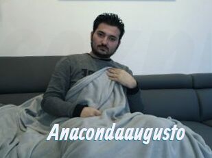 Anacondaaugusto