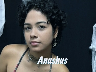 Anashus