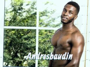 Andresbaudin