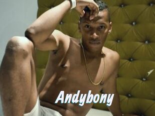 Andybony