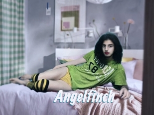 Angelfinch
