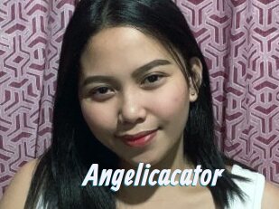 Angelicacator