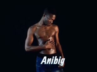 Anibig
