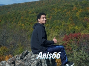 Anis66