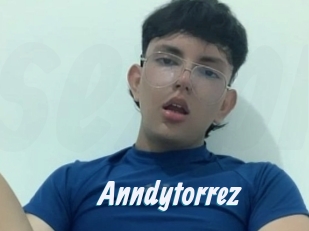 Anndytorrez