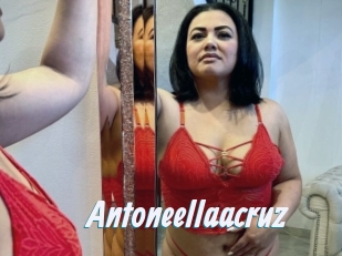 Antoneellaacruz
