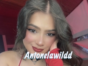 Antonelawildd