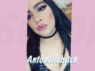 Antonellabitch