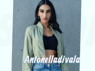 Antonelladivala