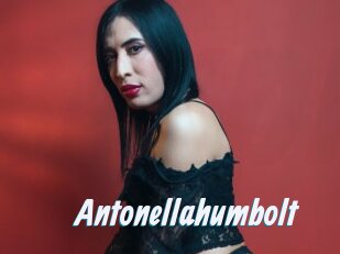 Antonellahumbolt