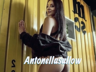 Antonellasallow
