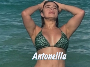 Antonellla